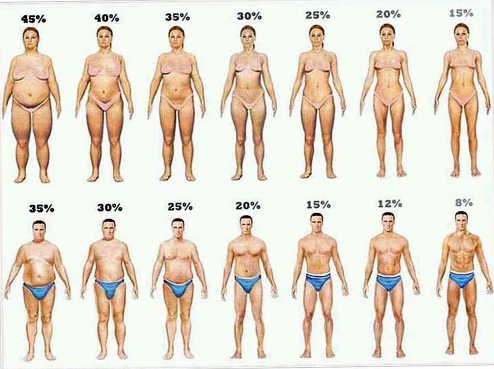 percentual de gordura corporal e perda de peso em uma dieta cetogênica